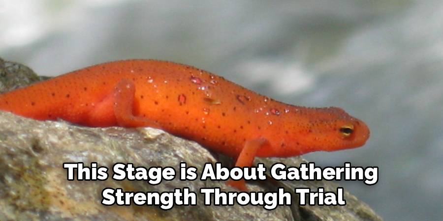 This Stage is About Gathering 
Strength Through Trial