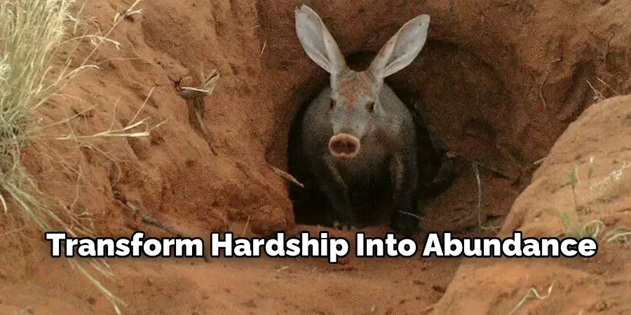 Transform Hardship Into Abundance