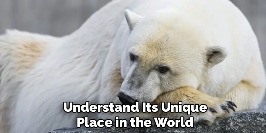 Understand Its Unique
Place in the World