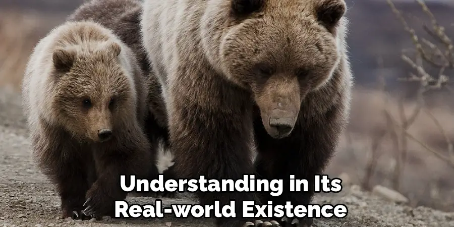 Understanding in Its
Real-world Existence