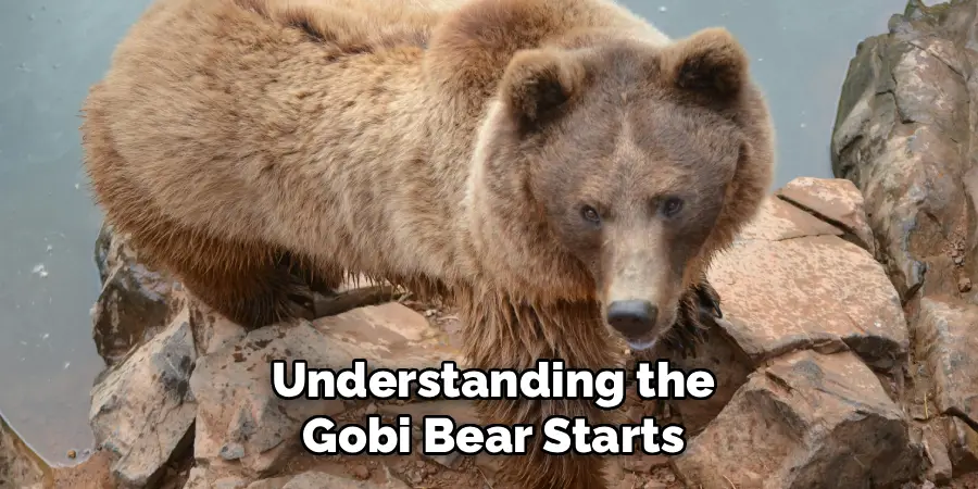Understanding the
Gobi Bear Starts