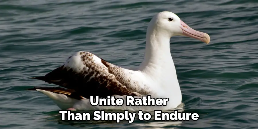 Unite Rather
Than Simply to Endure