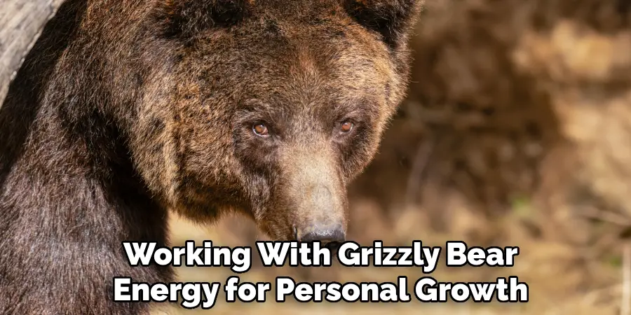 Working With Grizzly Bear
Energy for Personal Growth