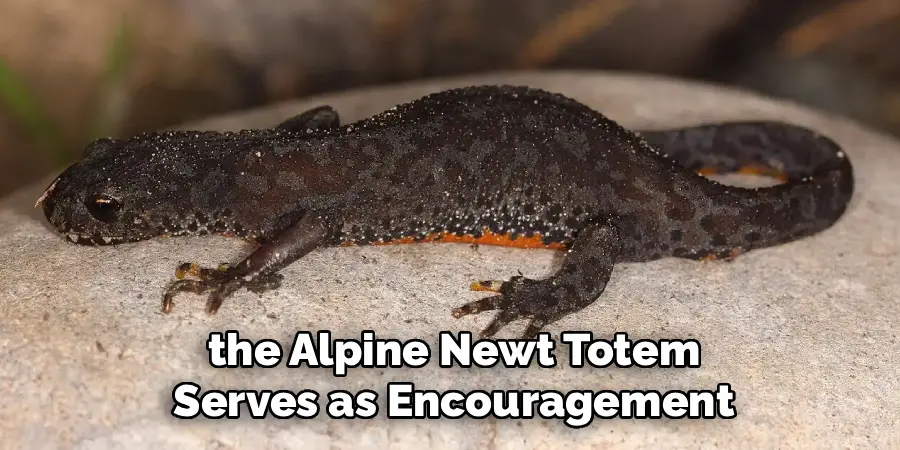  the Alpine Newt Totem
 Serves as Encouragement