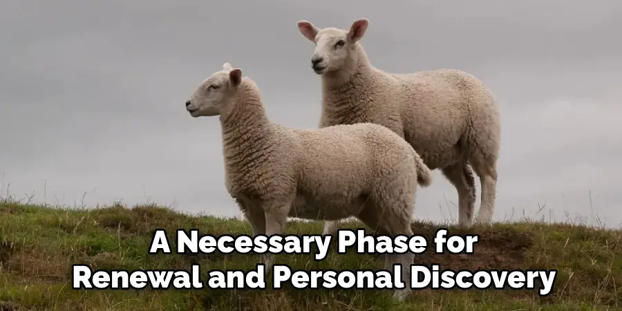A Necessary Phase for
Renewal and Personal Discovery