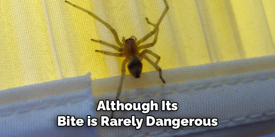 Although Its
Bite is Rarely Dangerous