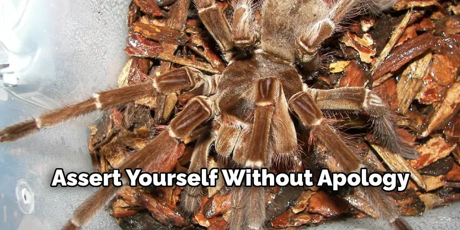 Assert Yourself Without Apology