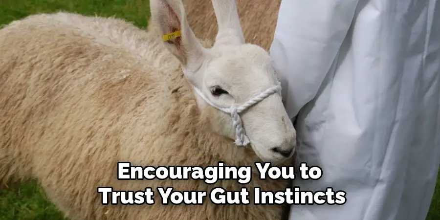 Encouraging You to
Trust Your Gut Instincts