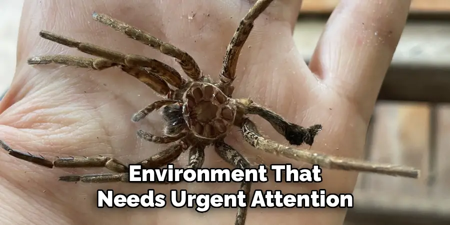 Environment That
Needs Urgent Attention