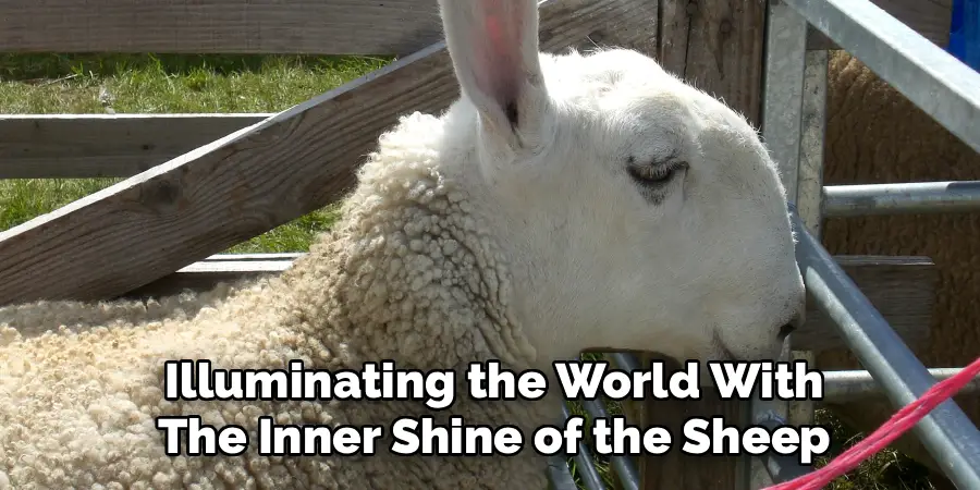 Illuminating the World With
The Inner Shine of the Sheep