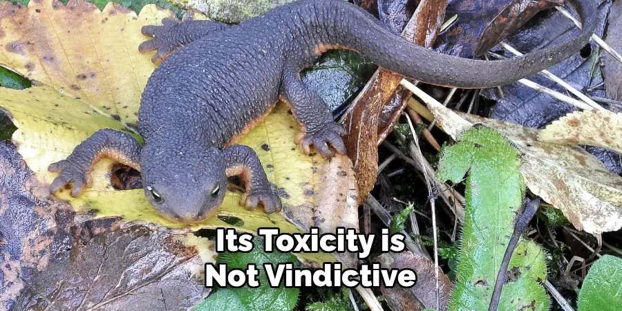 Its Toxicity is Not Vindictive