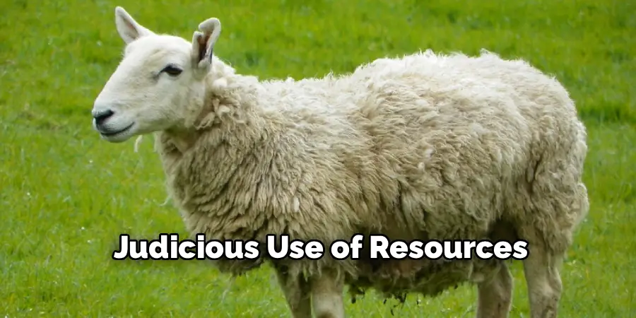 Judicious Use of Resources