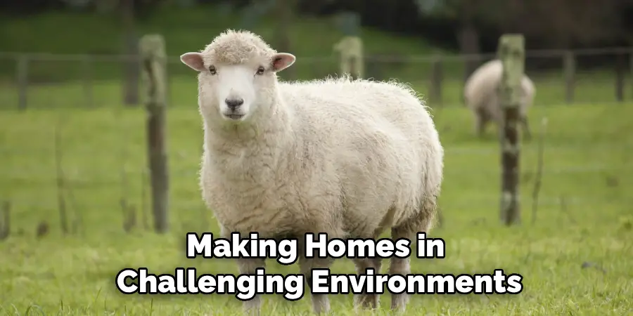 Making Homes in 
Challenging Environments