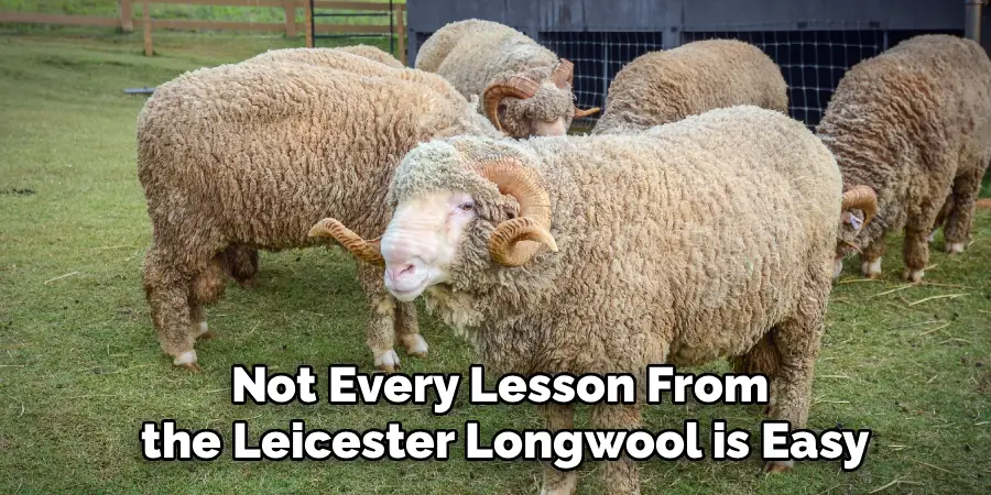Not Every Lesson From
the Leicester Longwool is Easy