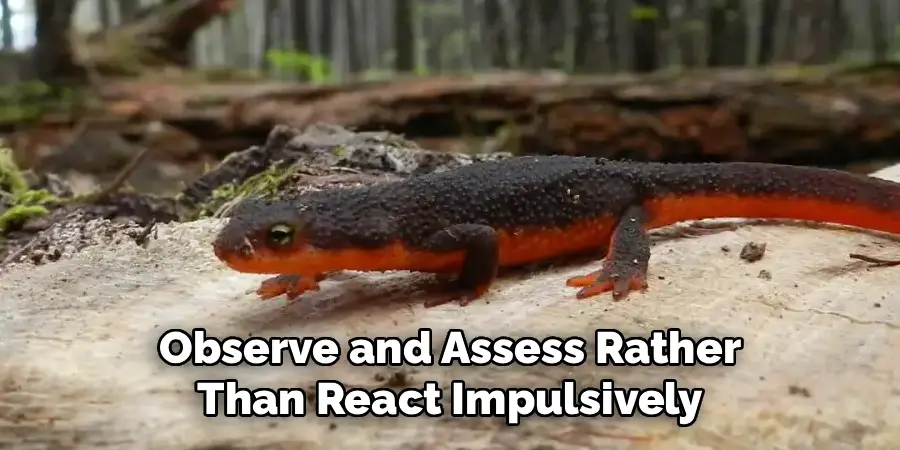 Observe and Assess Rather Than React Impulsively