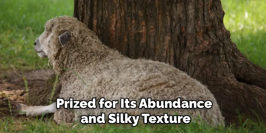 Prized for Its Abundance
and Silky Texture