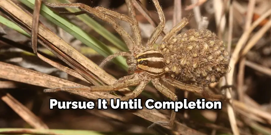 Pursue It Until Completion