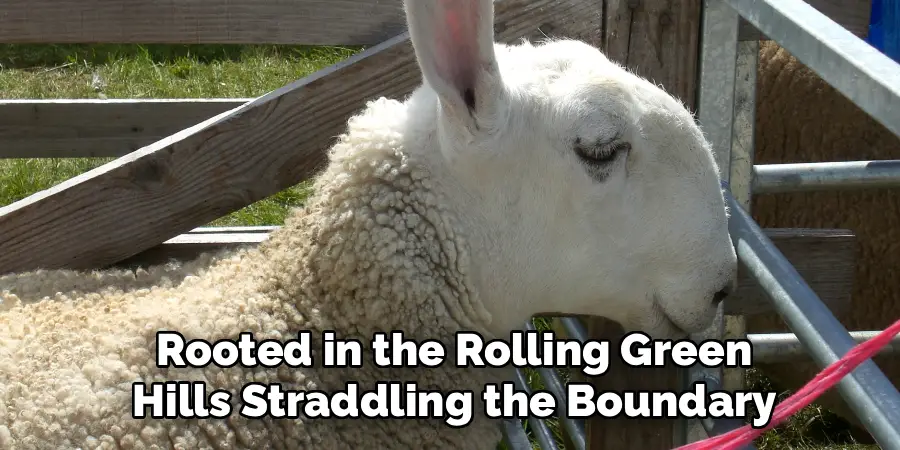 Rooted in the Rolling Green
Hills Straddling the Boundary