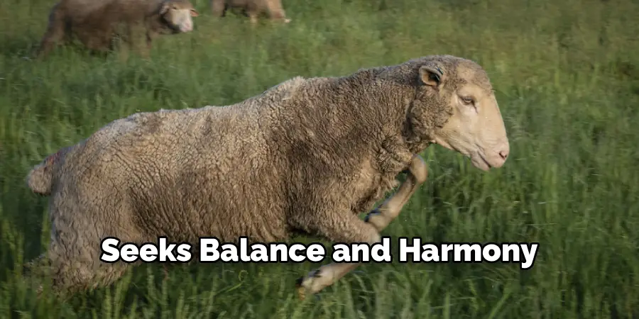 Seeks Balance and Harmony