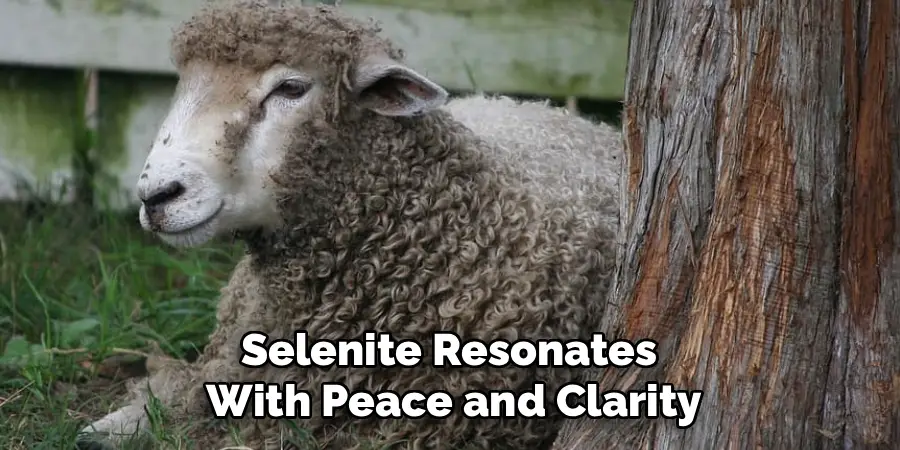 Selenite Resonates
With Peace and Clarity