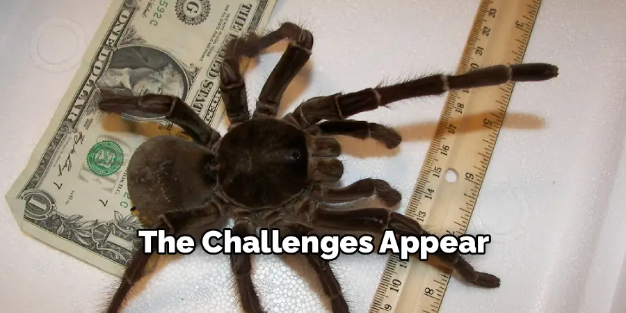 The Challenges Appear