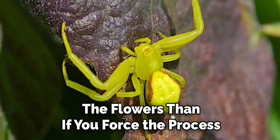 The Flowers Than
If You Force the Process