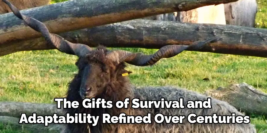 The Gifts of Survival and
Adaptability Refined Over Centuries