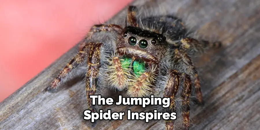 The Jumping
Spider Inspires