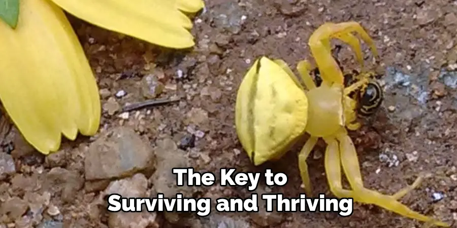 The Key to
Surviving and Thriving