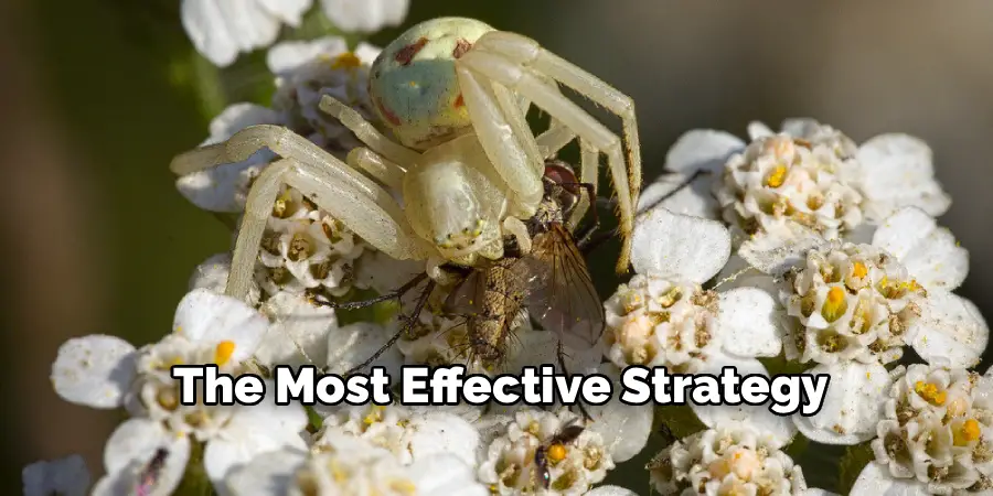 The Most Effective Strategy