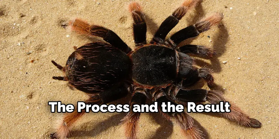 The Process and the Result