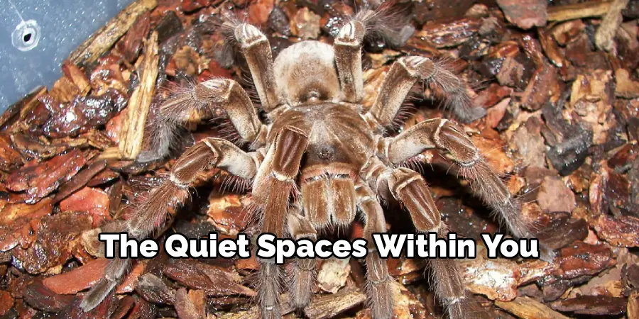 The Quiet Spaces Within You