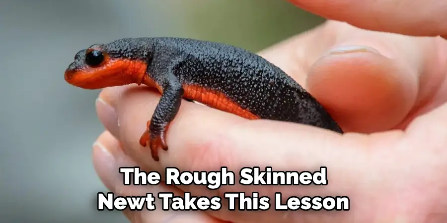 The Rough Skinned
Newt Takes This Lesson