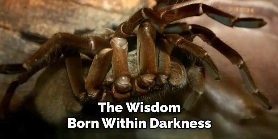 The Wisdom
Born Within Darkness