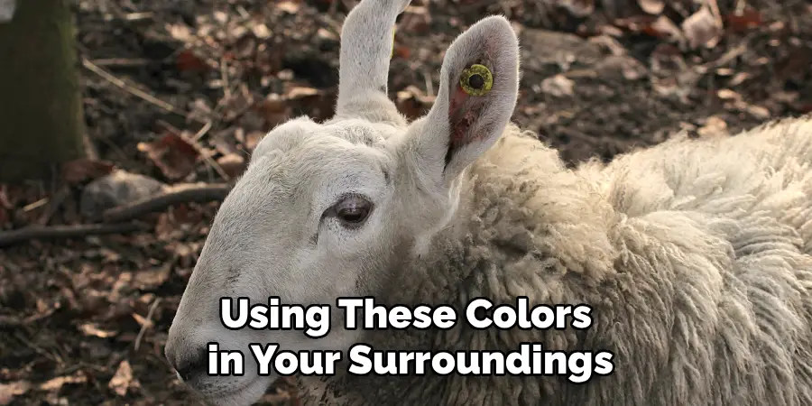 Using These Colors
in Your Surroundings