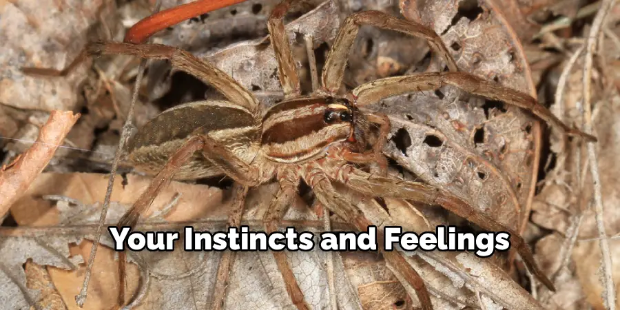 Your Instincts and Feelings