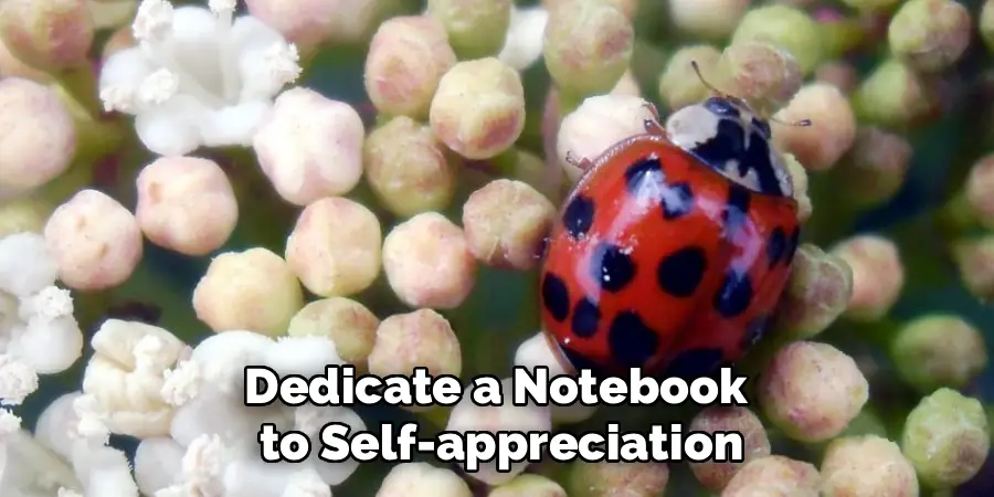 Dedicate a Notebook
 to Self-appreciation