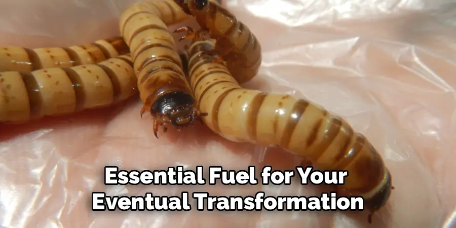 Essential Fuel for Your
Eventual Transformation