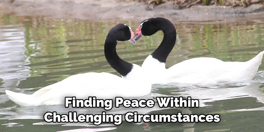 Finding Peace Within
Challenging Circumstances