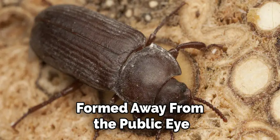 Formed Away From
 the Public Eye