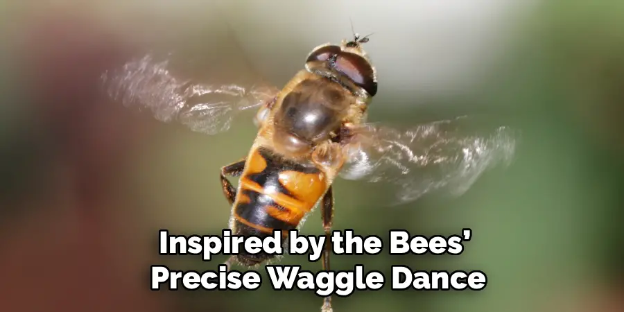 Inspired by the Bees’
 Precise Waggle Dance