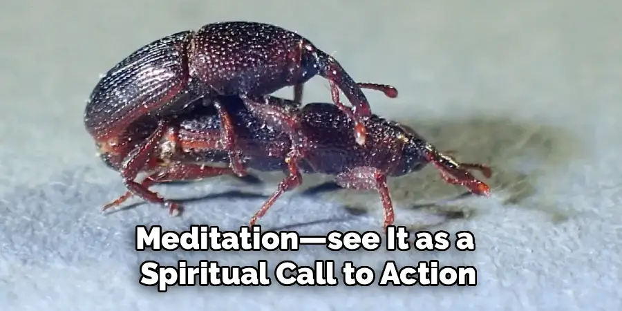 Meditation—see It as a
Spiritual Call to Action