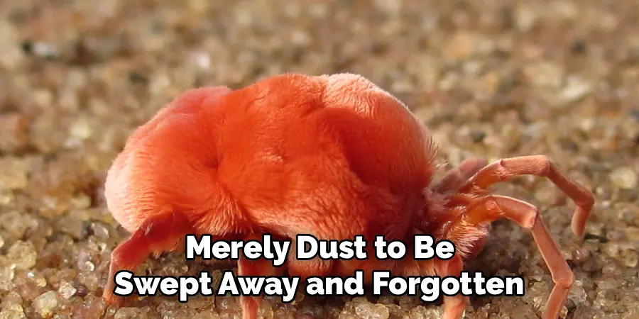 Merely Dust to Be
Swept Away and Forgotten