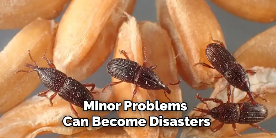 Minor Problems
Can Become Disasters