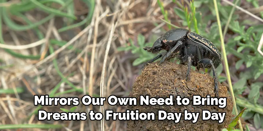 Mirrors Our Own Need to Bring
Dreams to Fruition Day by Day