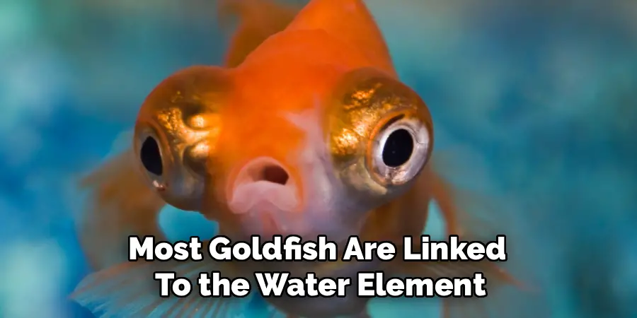 Most Goldfish Are Linked 
To the Water Element