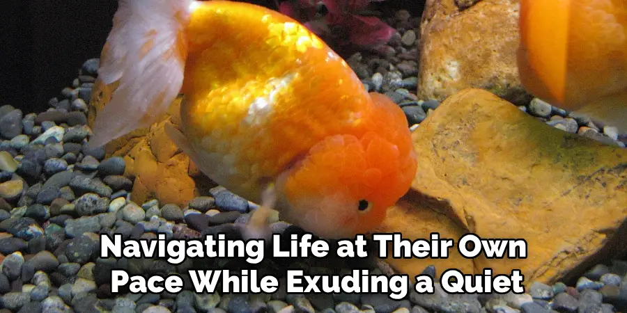 Navigating Life at Their Own
Pace While Exuding a Quiet