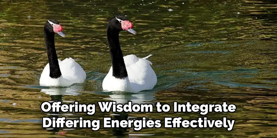 Offering Wisdom to Integrate
Differing Energies Effectively