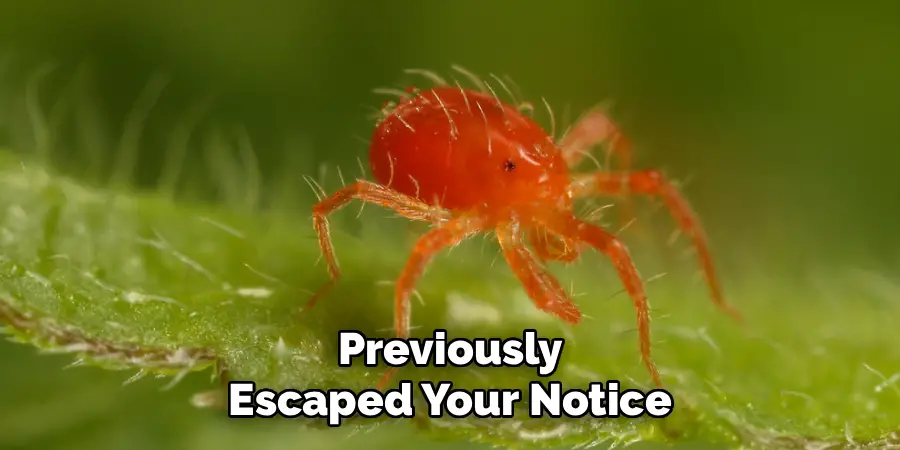 Previously
Escaped Your Notice