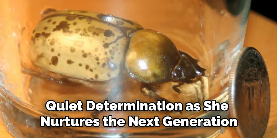 Quiet Determination as She
Nurtures the Next Generation